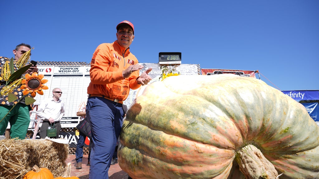 Minnesota man drives hauls giant pumpkin over 2,000 miles to California competition — CBS Bay Area (KPIX), Sonoma Community news