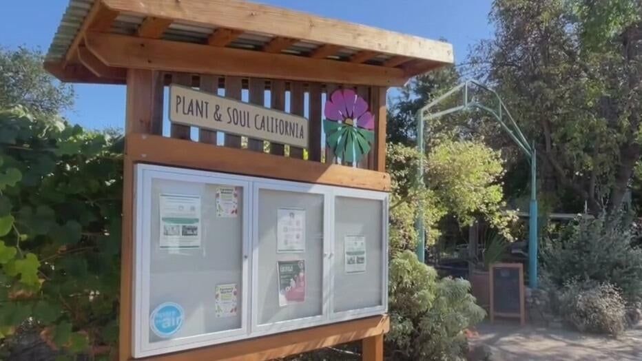 San Jose community garden told to leave as land is sold to developer — CBS Bay Area (KPIX), Sonoma Real Estate news