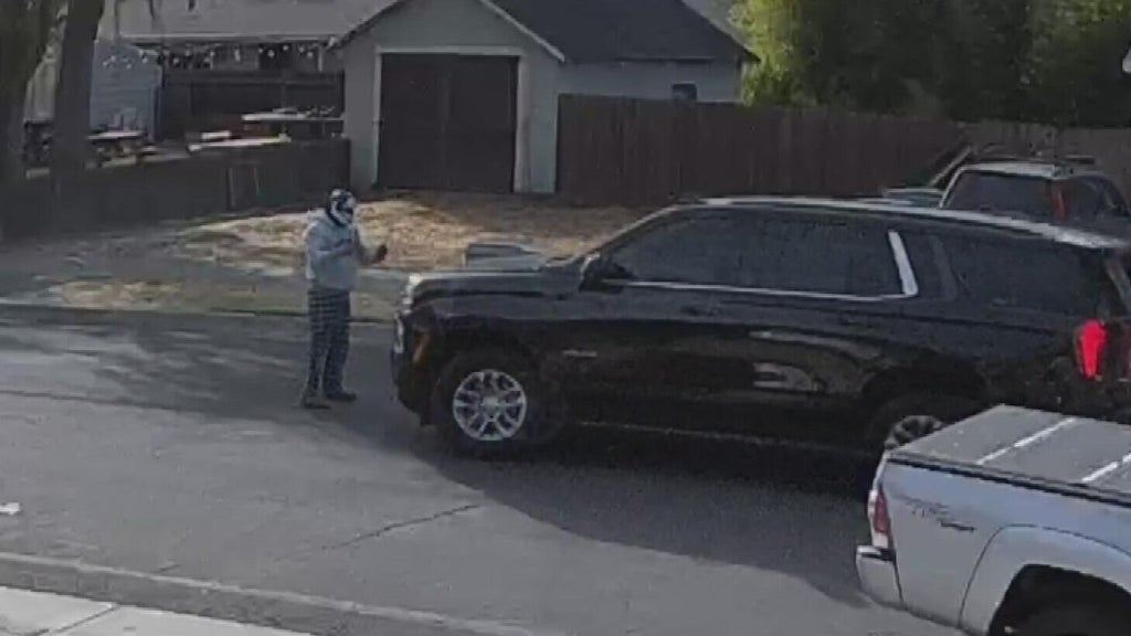 Woodland police dispute DHS account of ICE agent's collision with pedestrian — CBS Bay Area (KPIX), Sonoma Health news