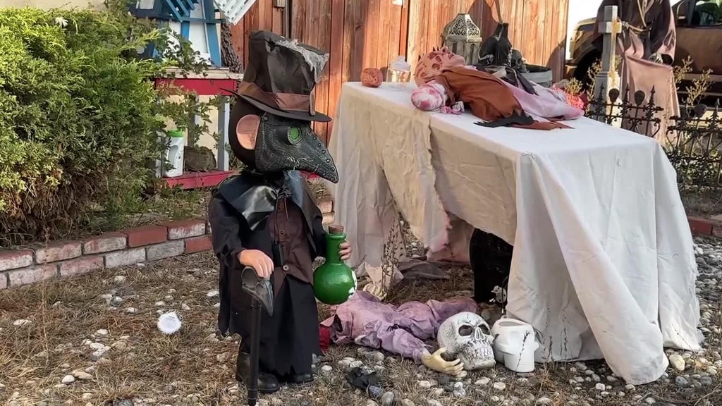 Halloween decorations worth roughly $700 stolen from San Leandro home — CBS Bay Area (KPIX), Sonoma Schools news