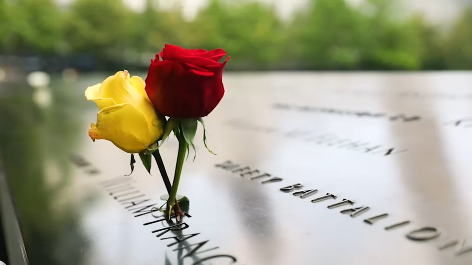 Second 9/11 victim identified with breakthrough genetic genealogy, NYC officials say
— ABC 7 Bay Area, Sonoma Community news