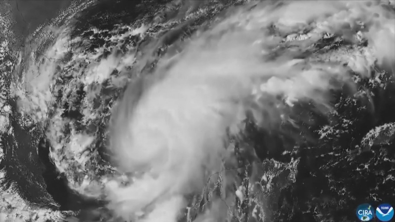 Hurricane Isaias: Residents board up windows and National Guard troops deploy as storm nears US Gulf Coast
— ABC 7 Bay Area, Sonoma Sports news