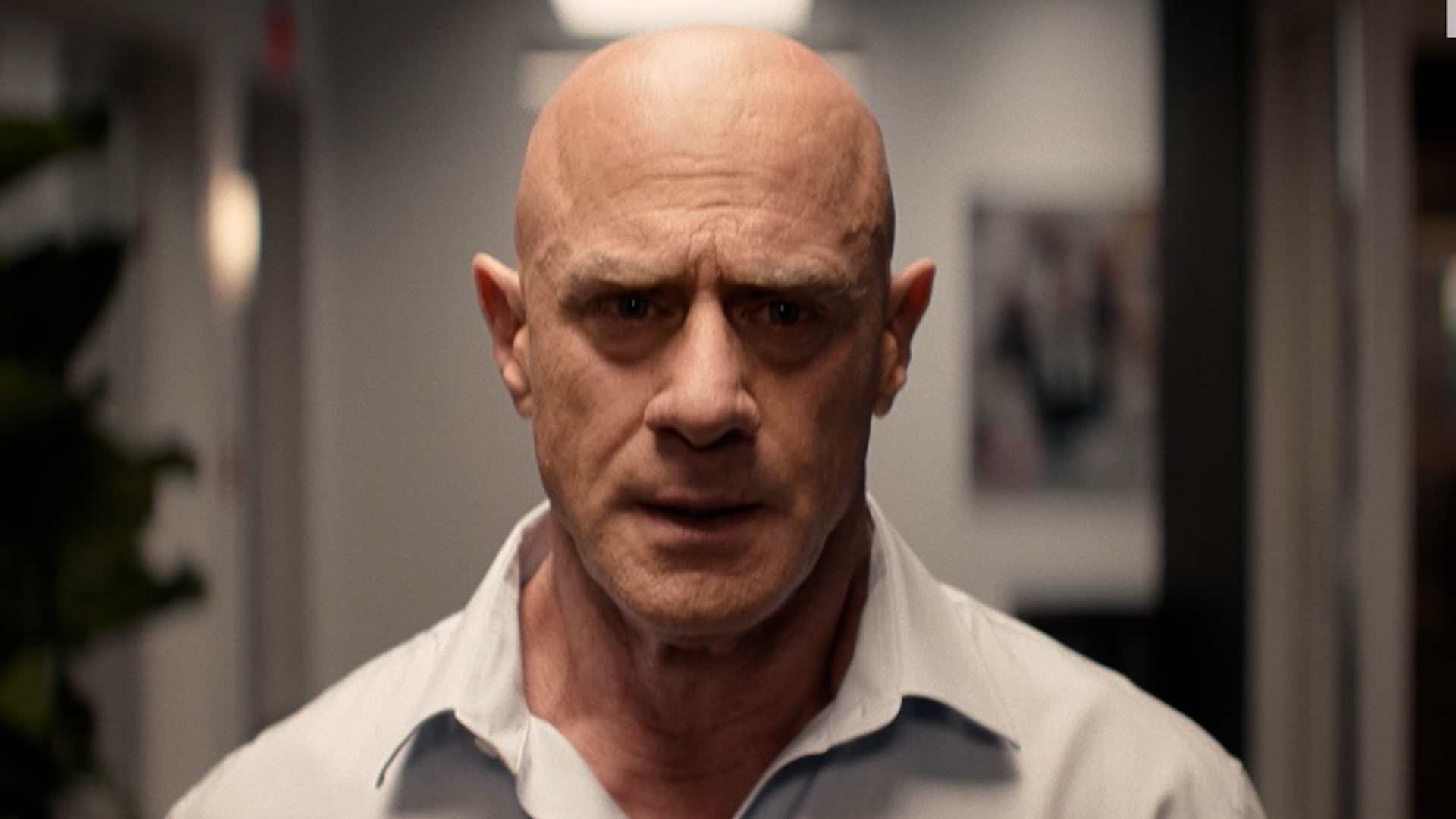 Christopher Meloni, William H. Macy talk football, family in 'The Land' trailer
       — ABC 7 Bay Area