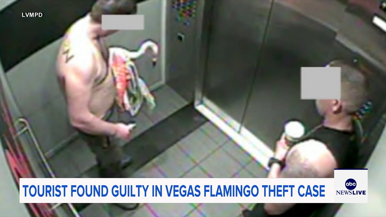 Man who snatched Peachy the flamingo from Las Vegas hotel exhibit found guilty of animal cruelty
— ABC 7 Bay Area, Sonoma Arts news