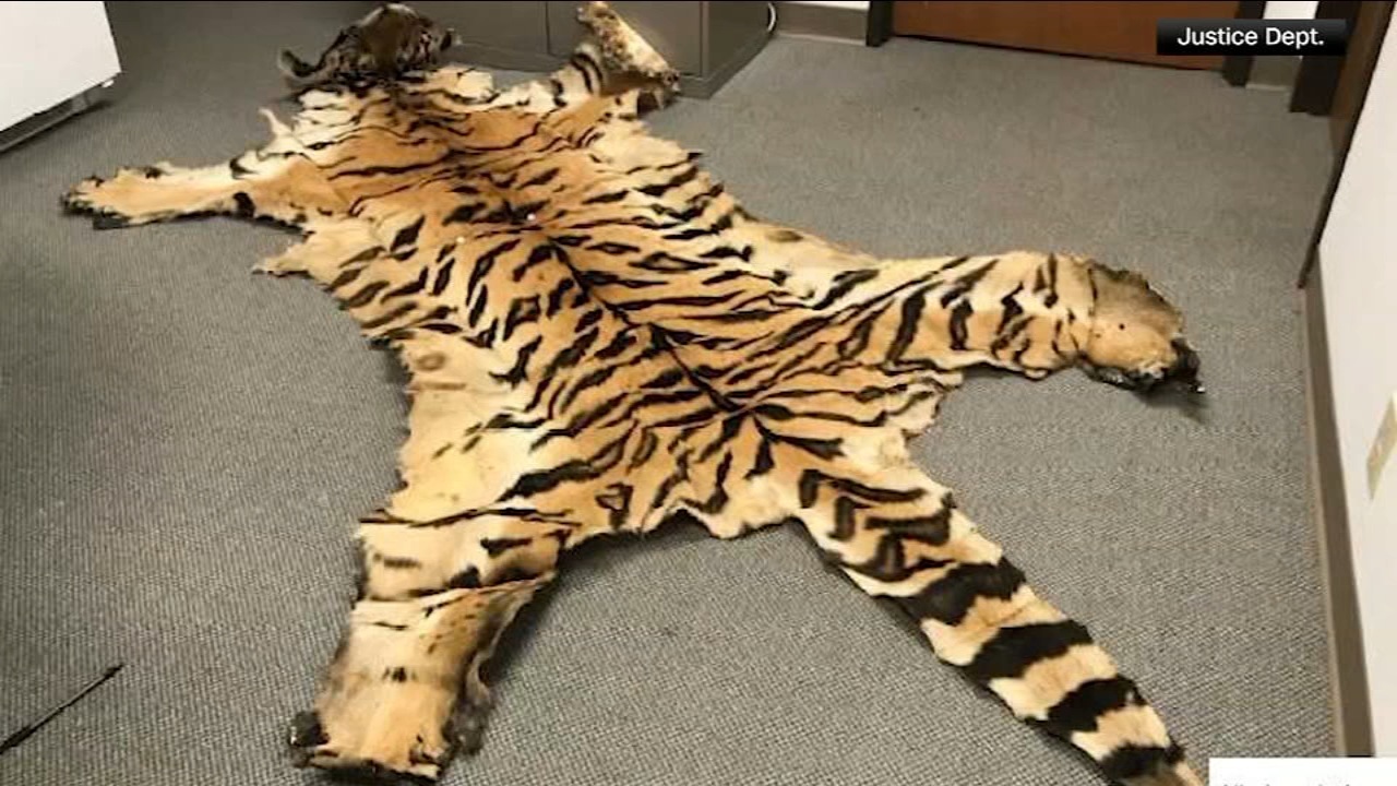 California couple pleads guilty to trafficking wildlife
— Sonoma Community news