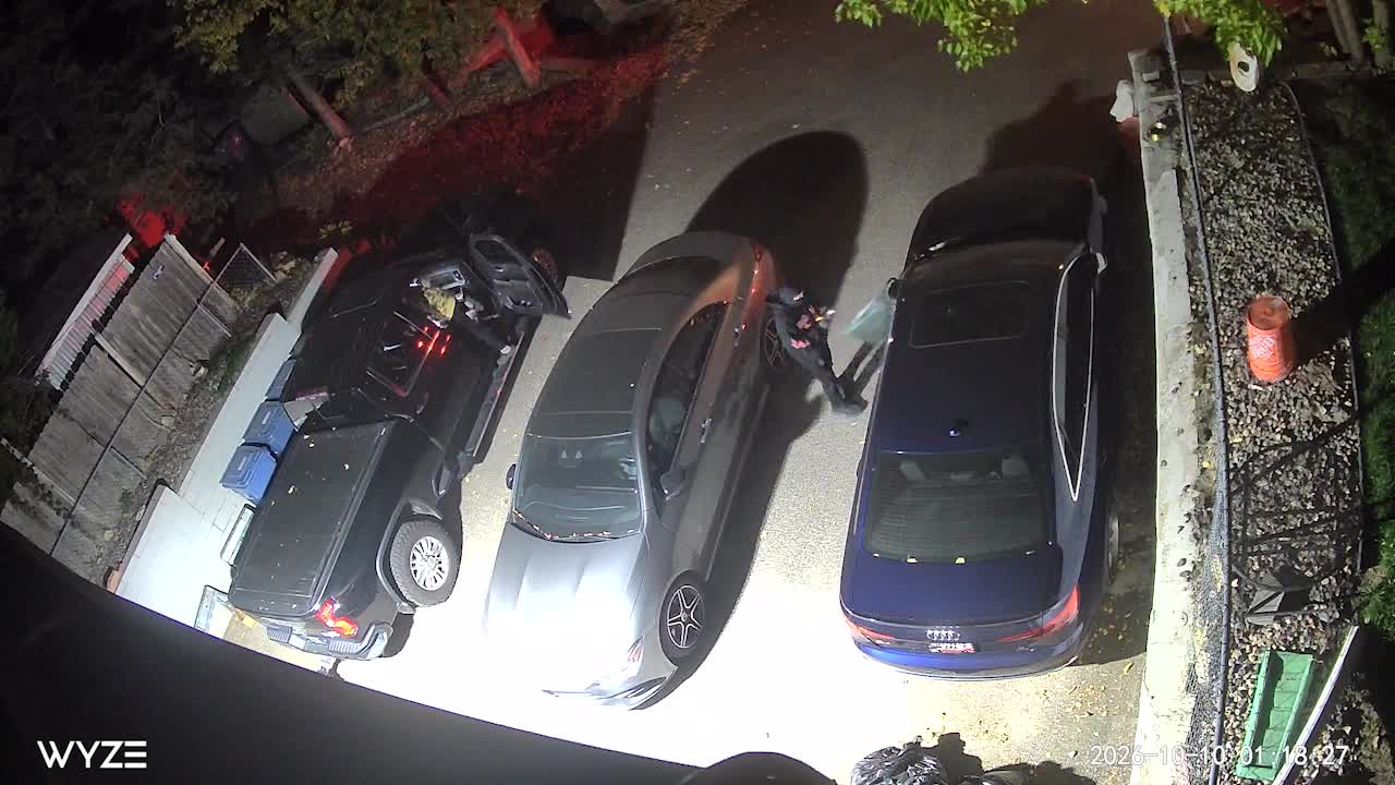 Juvenile window-smashing suspects caught on camera in south Minneapolis — KSTP 5, Sonoma Real Estate news