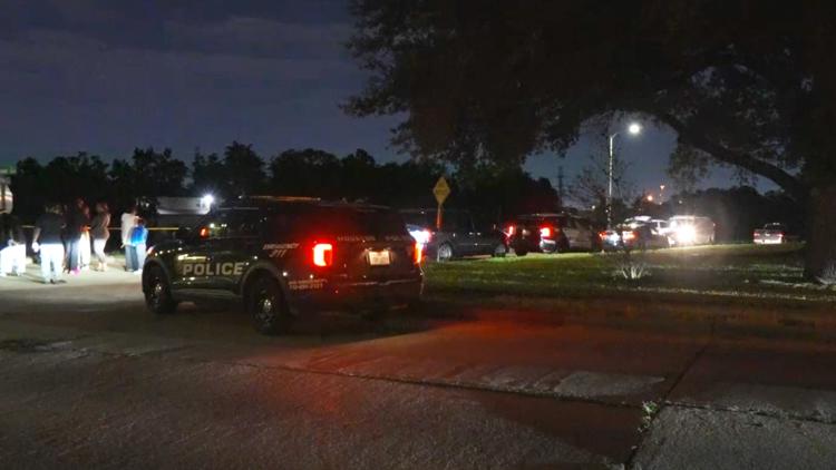 HPD: Man dies after going for swim in Sims Bayou in southeast Houston — KHOU 11 (Houston), Sonoma Sports news