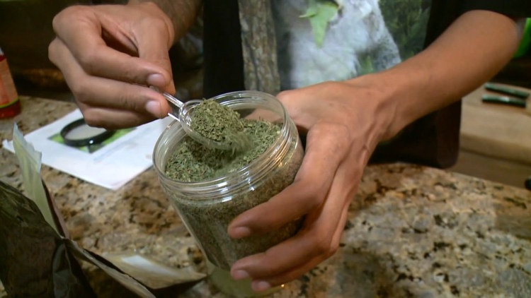 Hillsborough County considers restrictions on kratom products as families describe losing loved ones — WTSP 10 Tampa Bay, Sonoma Government news