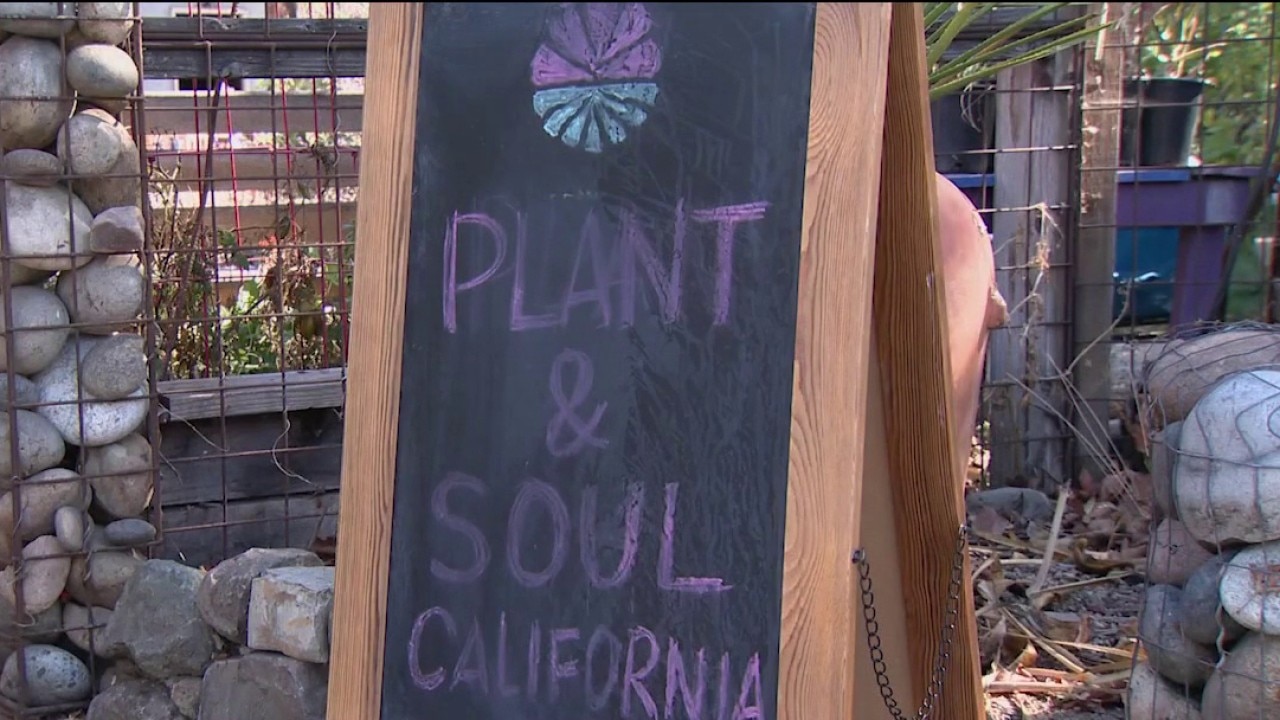 San Jose community garden faces possible eviction — KTVU FOX 2 Bay Area, Sonoma Schools news
