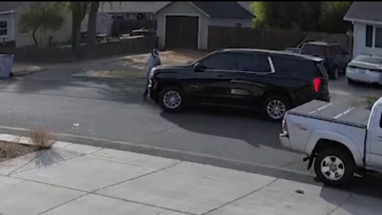 Pedestrian hit by federal immigration agent's vehicle in Yolo County — KTVU FOX 2 Bay Area, Sonoma Community news