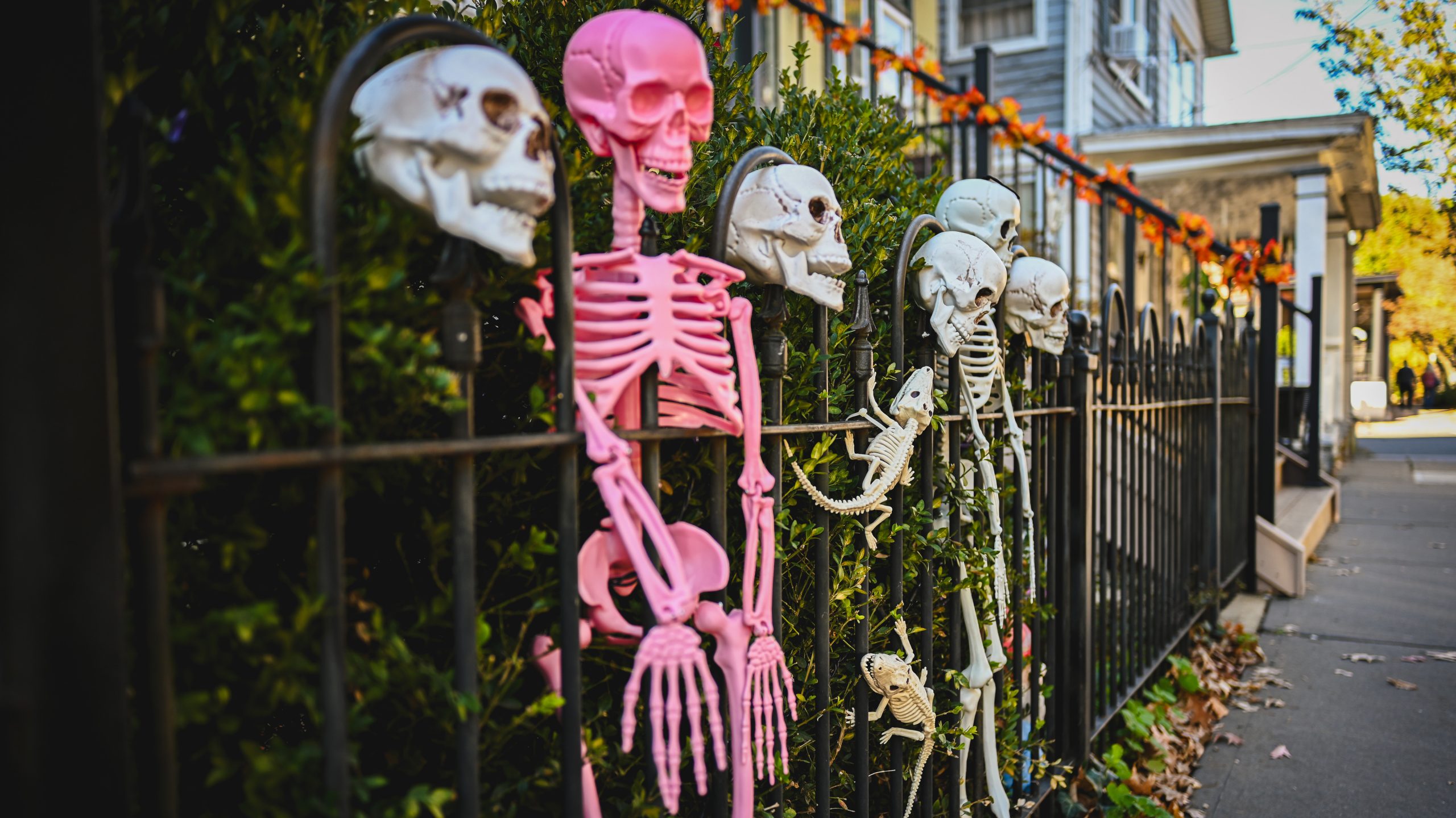America's best cities for Halloween, ranked — KTVU FOX 2 Bay Area, Sonoma Community news