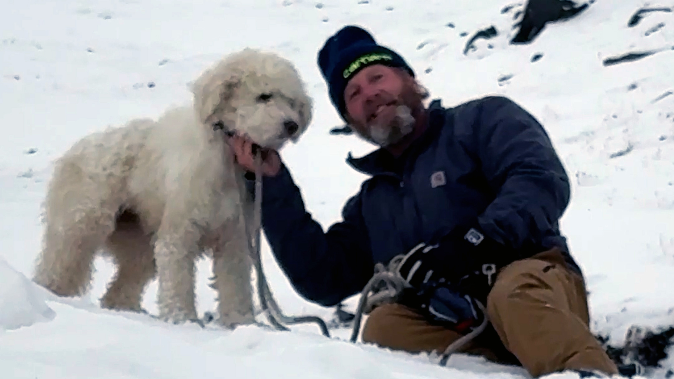 Watch: Dog lost in Alaska avalanche miraculously found 2 days later — KTVU FOX 2 Bay Area, Sonoma Community news